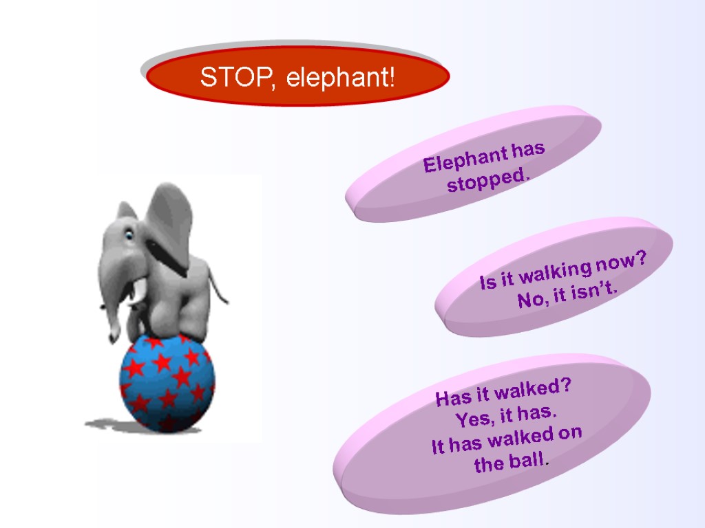 STOP, elephant! Elephant has stopped. Is it walking now? No, it isn’t. Has it